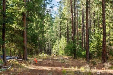 0 S Shugart Flats Road Leavenworth WA 98826