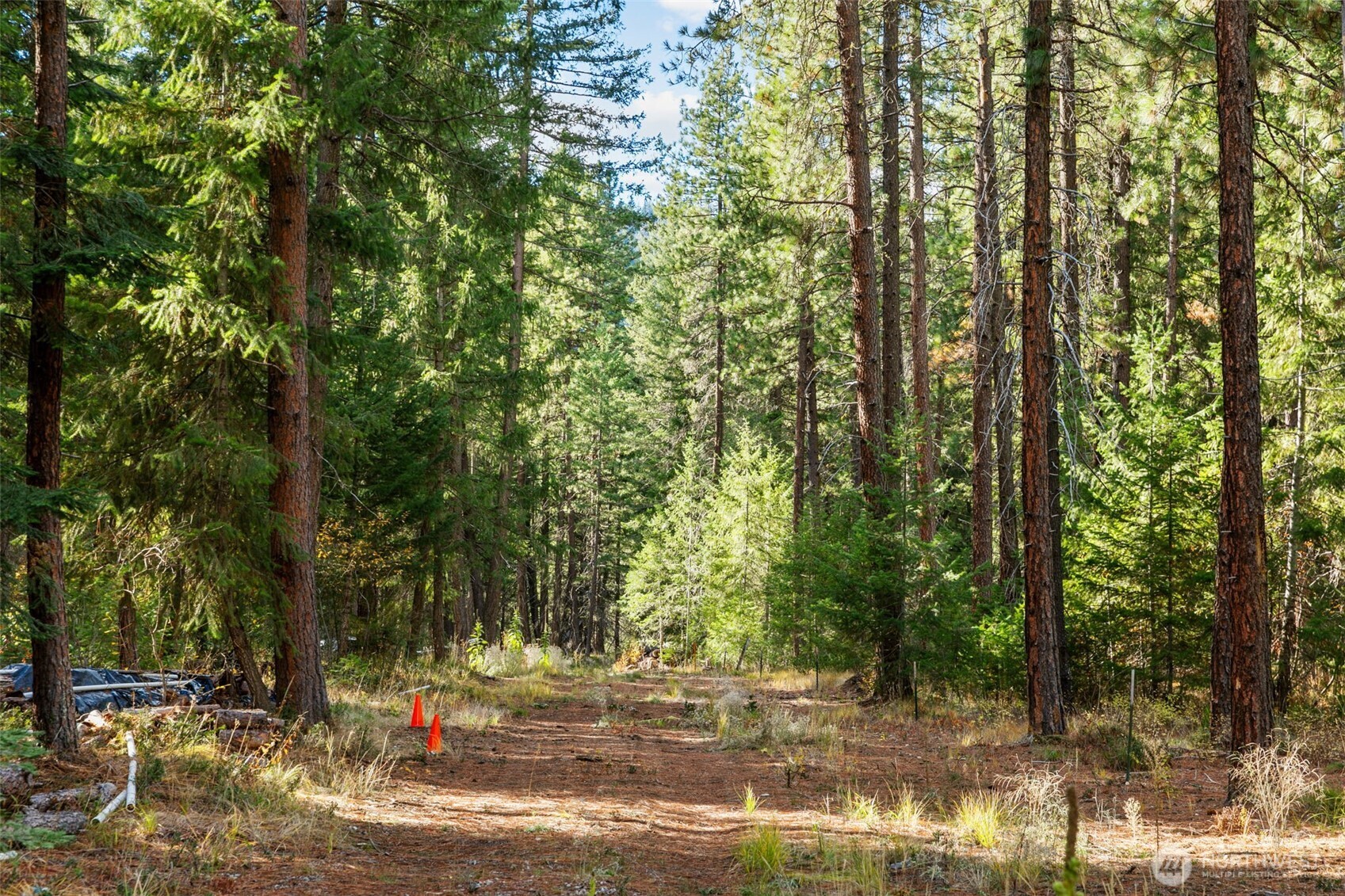 0 S Shugart Flats Road Leavenworth WA 98826