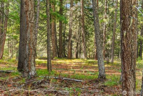 0 S Shugart Flats Road Leavenworth WA 98826