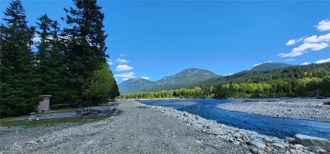 113 Cottonwood Lane Packwood WA 98361