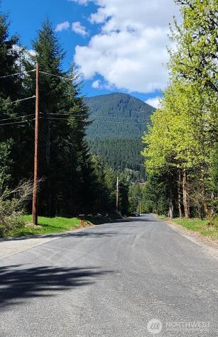 113 Cottonwood Lane Packwood WA 98361