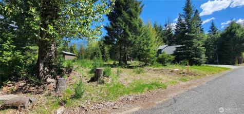 113 Cottonwood Lane Packwood WA 98361