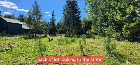 113 Cottonwood Lane Packwood WA 98361