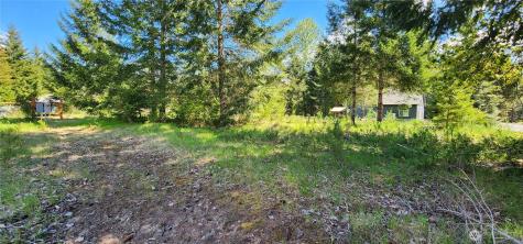 113 Cottonwood Lane Packwood WA 98361