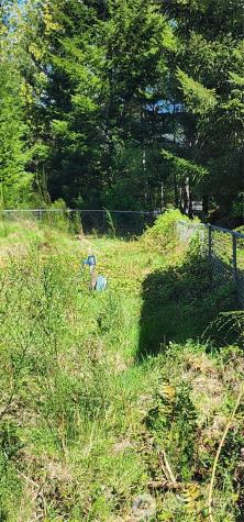 113 Cottonwood Lane Packwood WA 98361