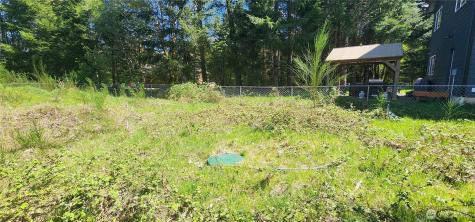 113 Cottonwood Lane Packwood WA 98361