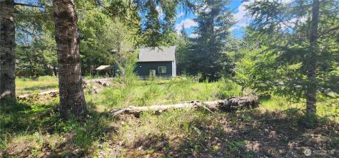 113 Cottonwood Lane Packwood WA 98361