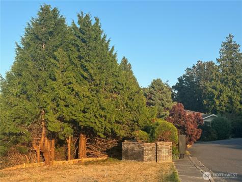 0 Whalen Drive Point Roberts WA 98281