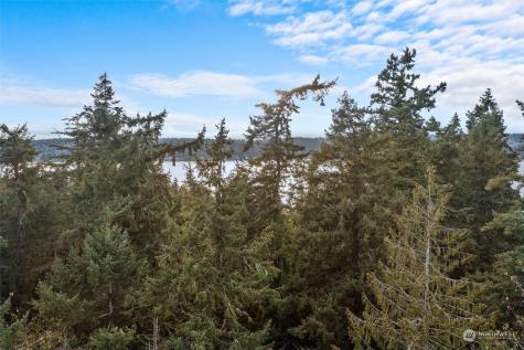 19700 SE 17th Street Sammamish WA 98075