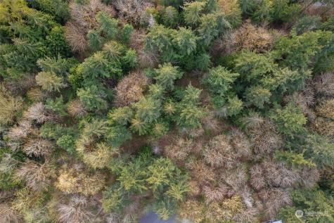 19700 SE 17th Street Sammamish WA 98075