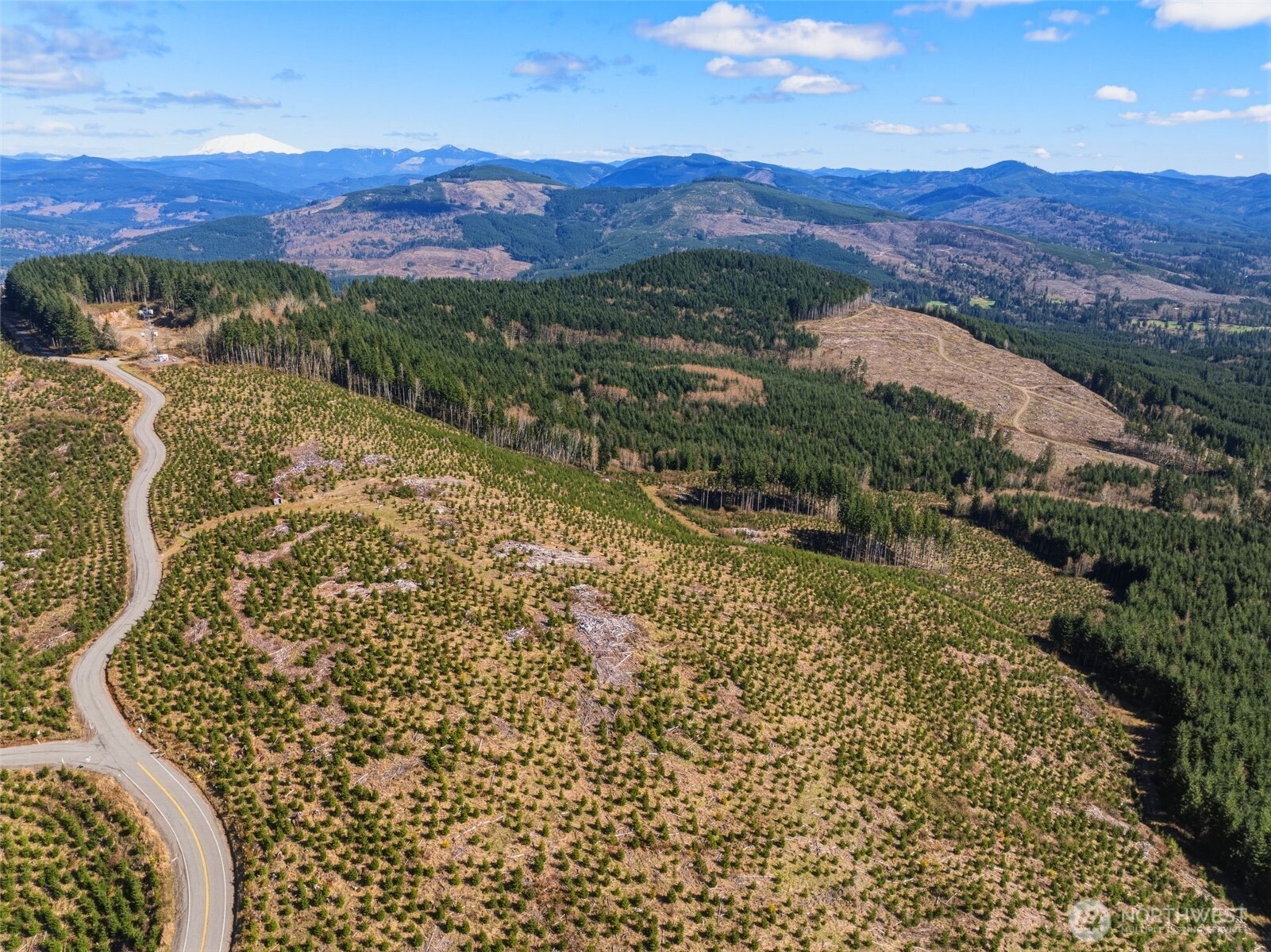 0 Hamilton Heights Road Kelso WA 98626