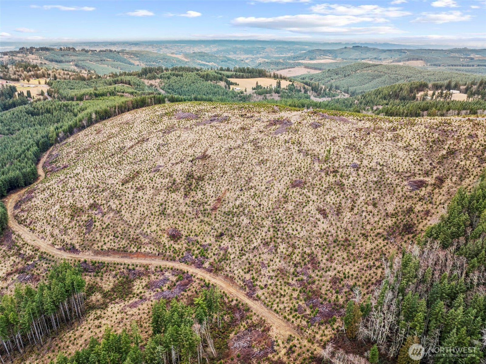 0 Hamilton Heights Road Kelso WA 98626