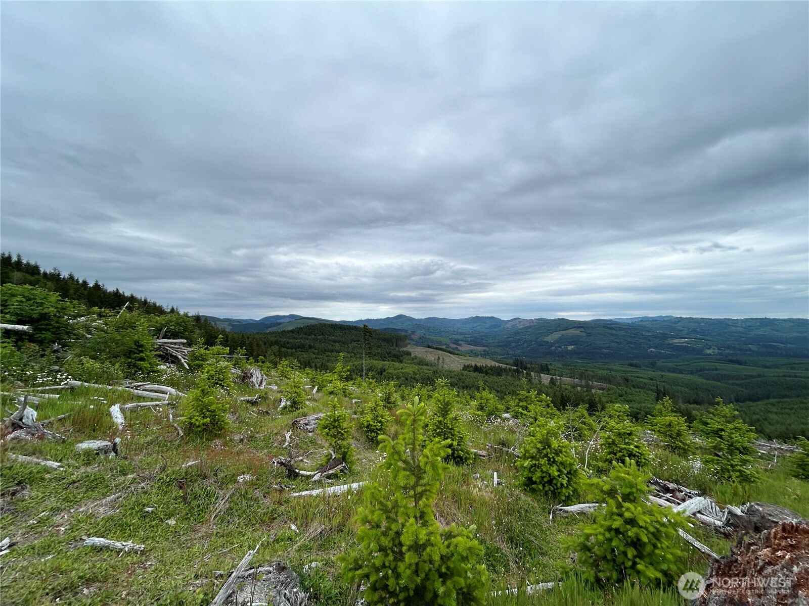 0 Hamilton Heights Road Kelso WA 98626