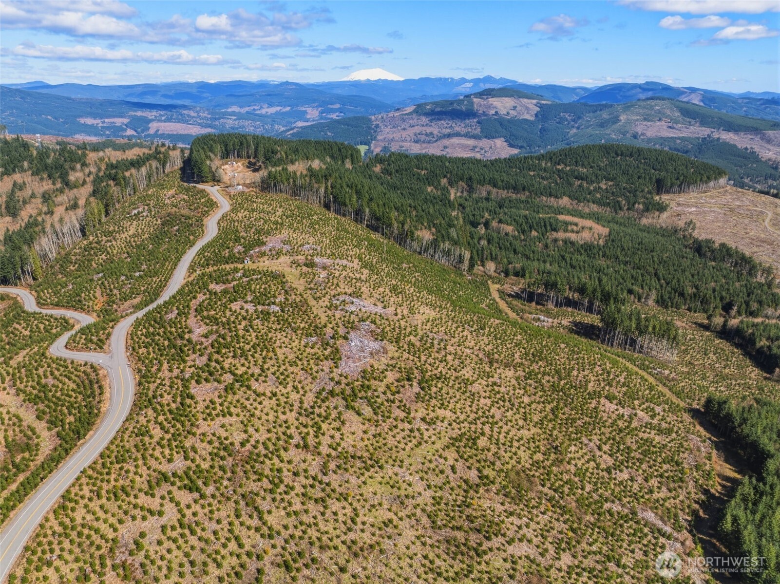 0 Hamilton Heights Road Kelso WA 98626