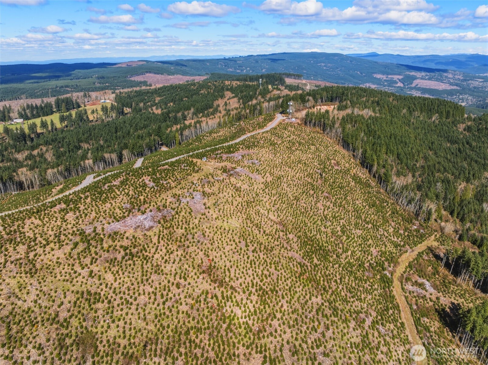 0 Hamilton Heights Road Kelso WA 98626
