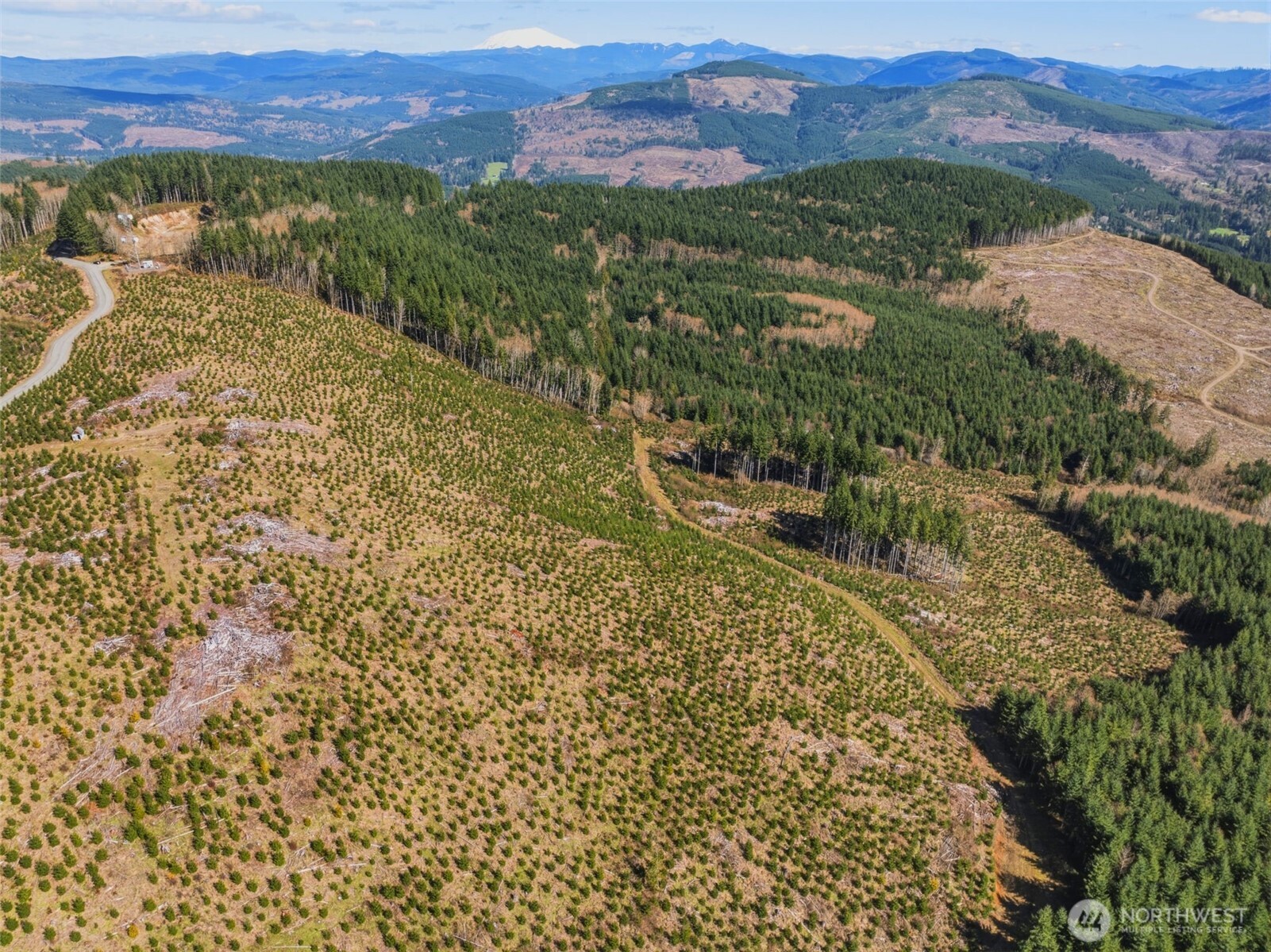 0 Hamilton Heights Road Kelso WA 98626