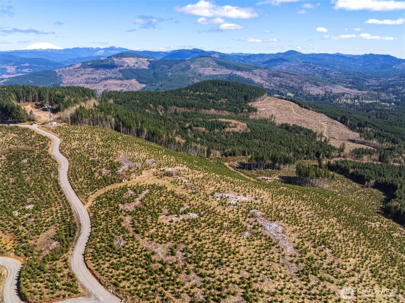 0 Hamilton Heights Road Kelso WA 98626