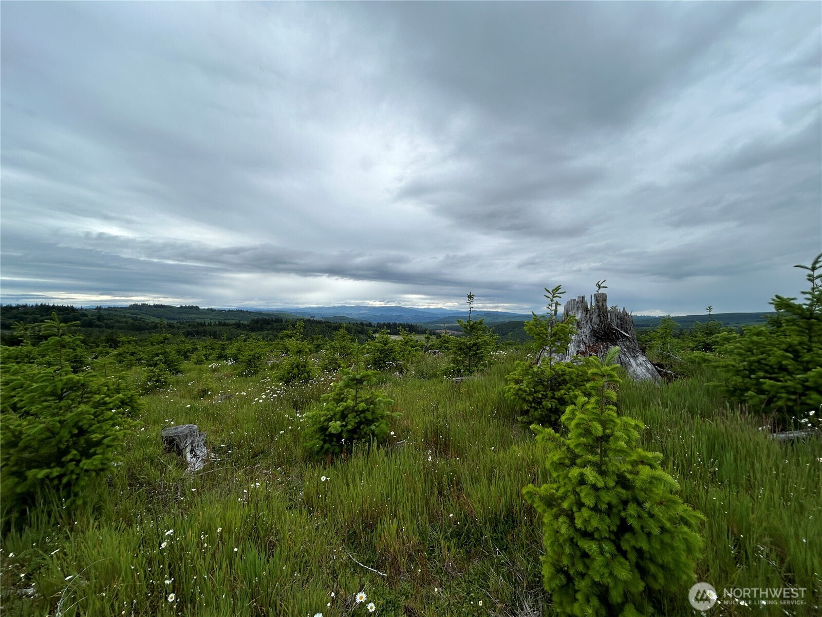 0 Hamilton Heights Road Kelso WA 98626