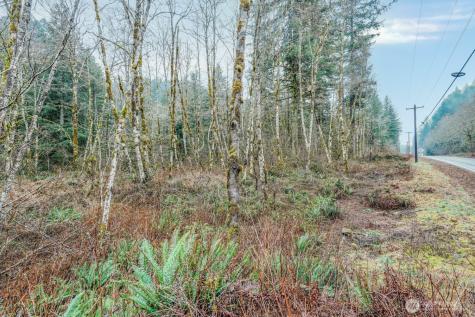 0 Washougal River Road Washougal WA 98671