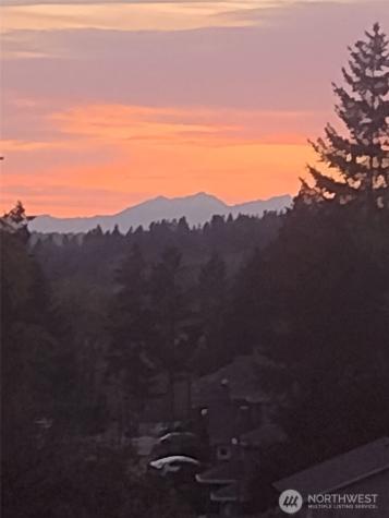 8057 118th Avenue SE Newcastle WA 98056