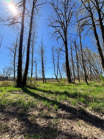 1554 State Route 508 Onalaska WA 98570