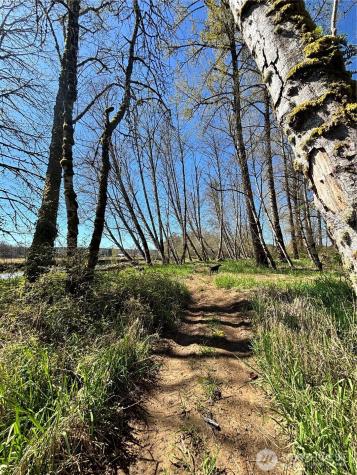 1554 State Route 508 Onalaska WA 98570