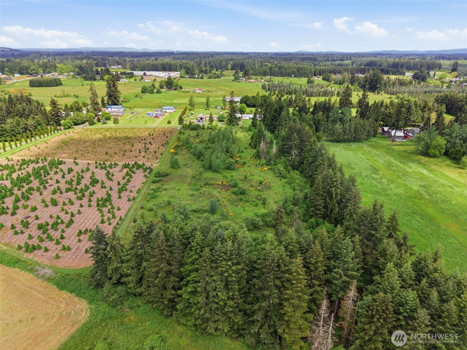 1 Shiloh Road Winlock WA 98596