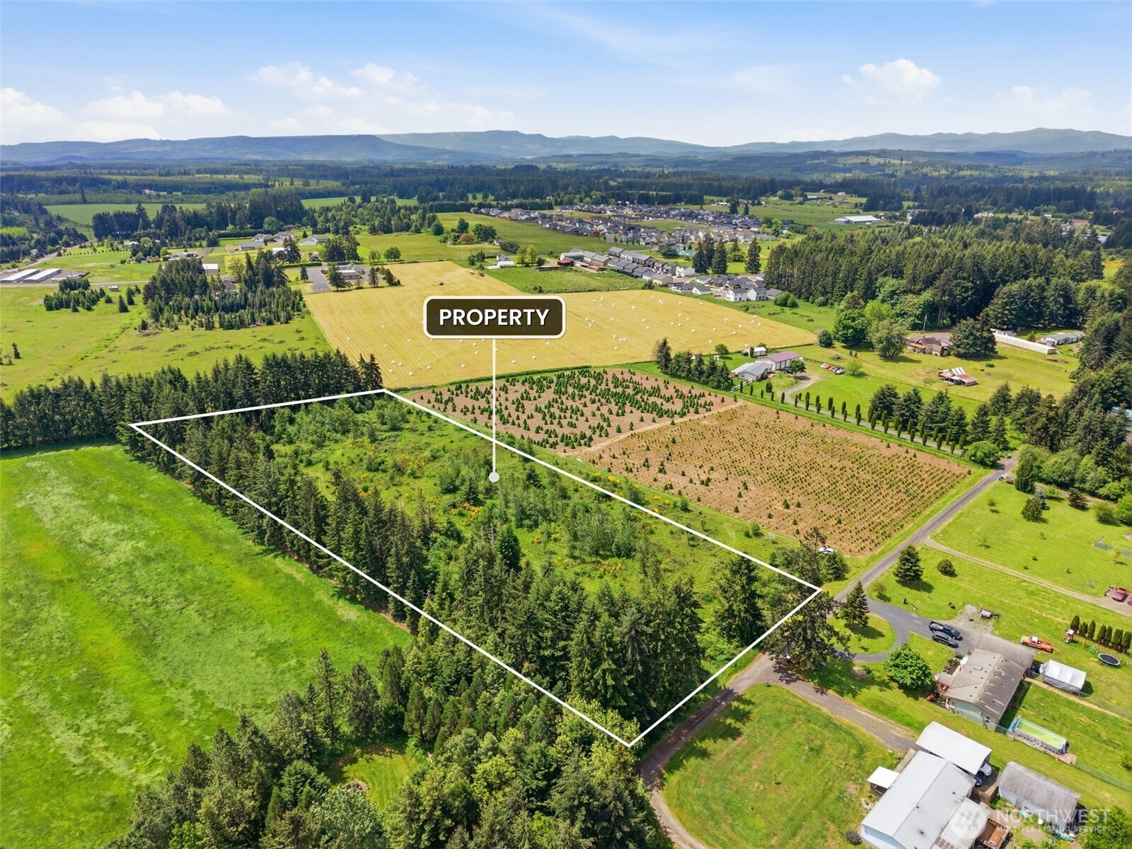 1 Shiloh Road Winlock WA 98596
