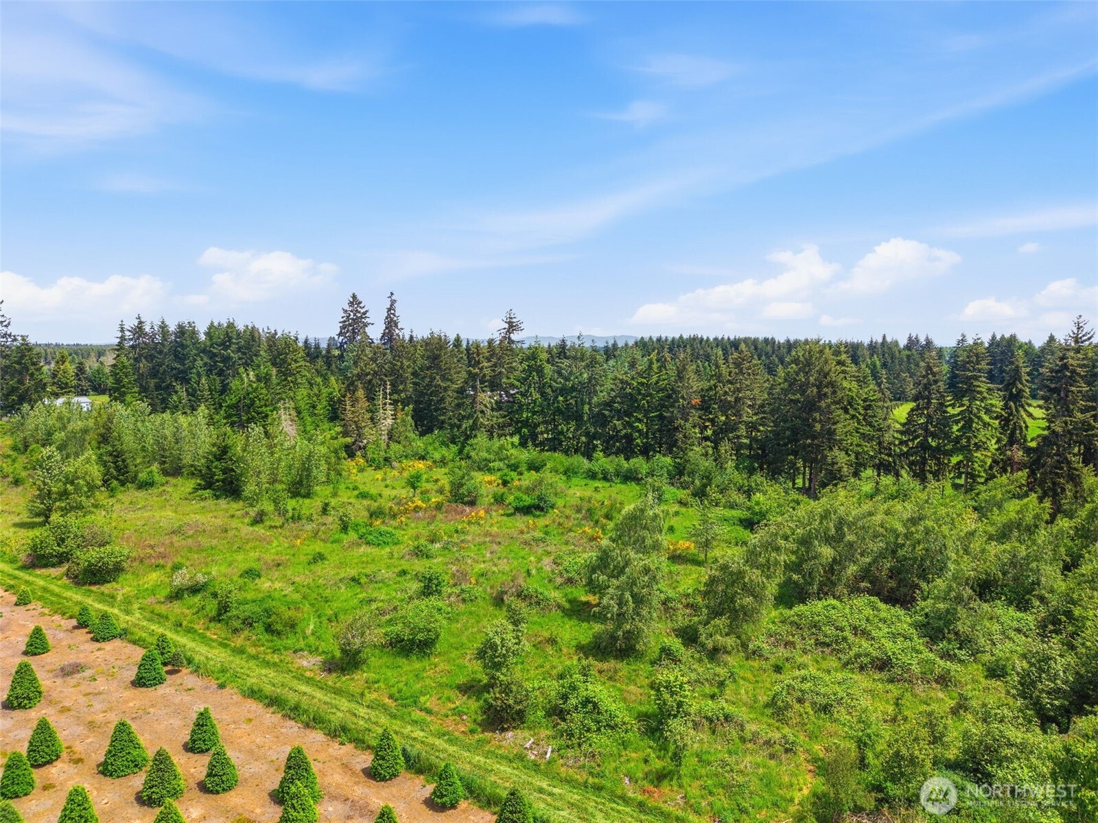 1 Shiloh Road Winlock WA 98596