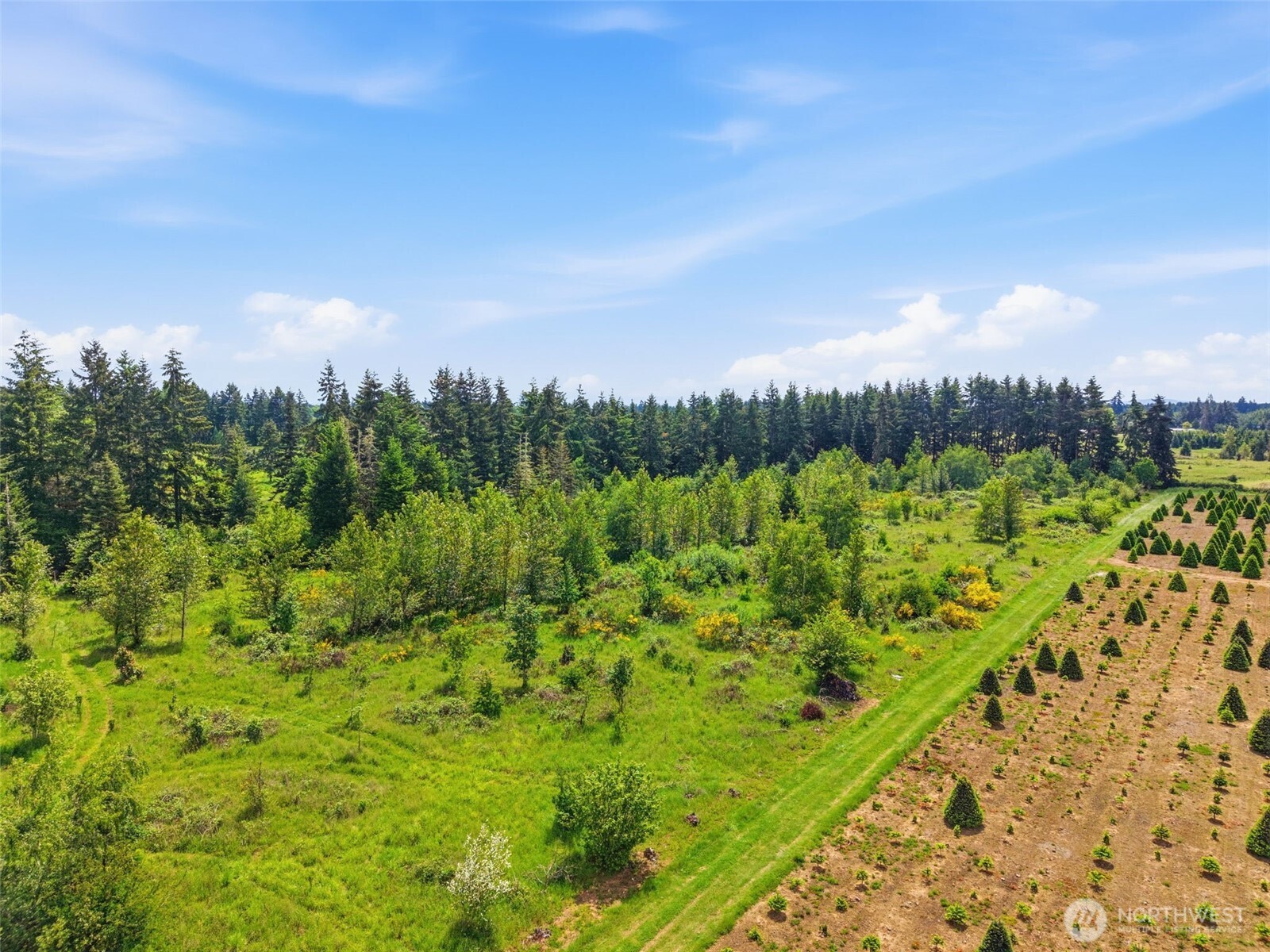 1 Shiloh Road Winlock WA 98596