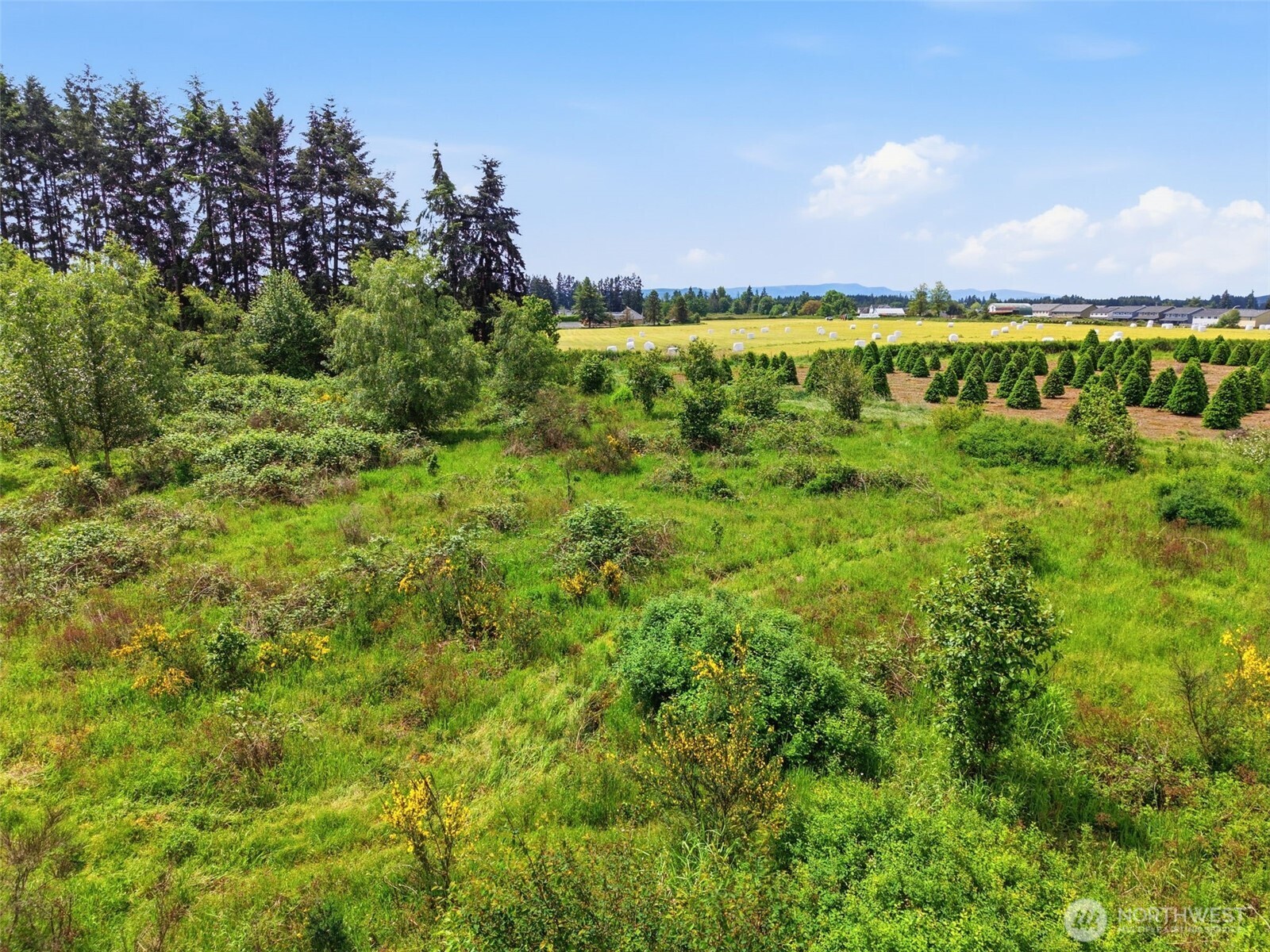 1 Shiloh Road Winlock WA 98596