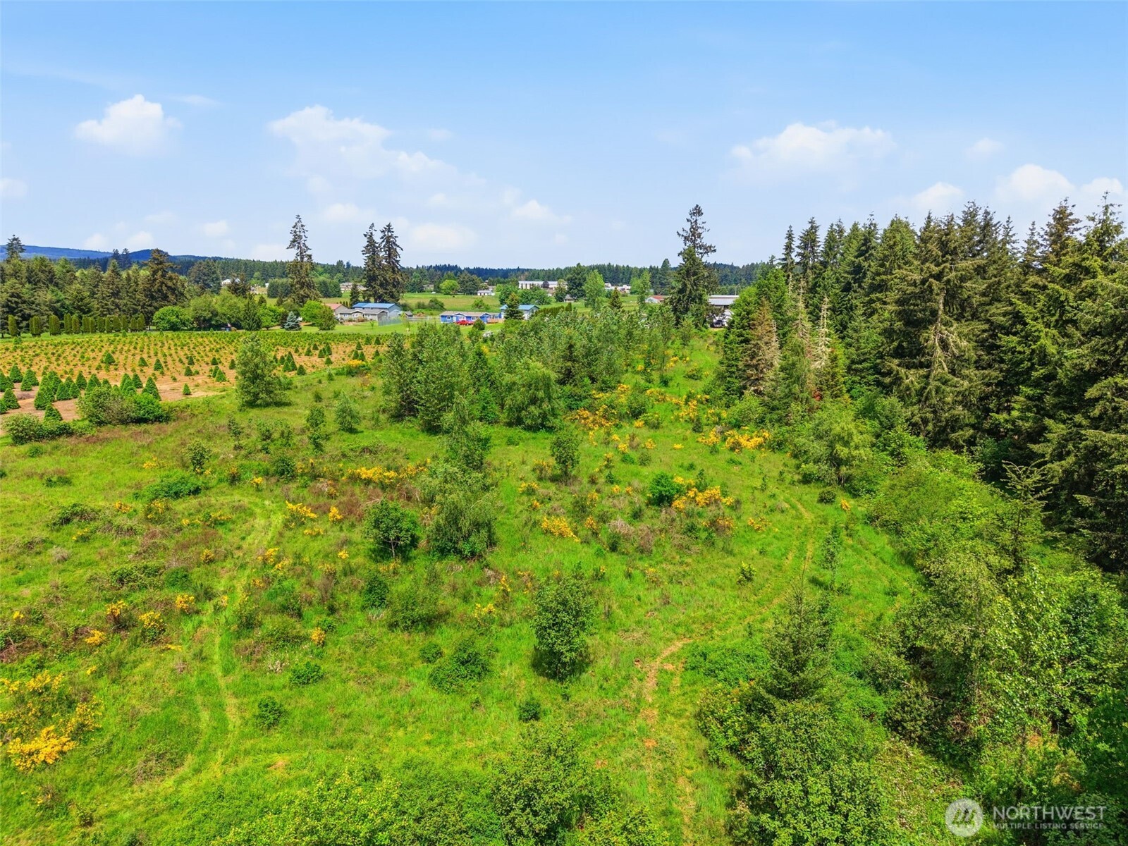 1 Shiloh Road Winlock WA 98596