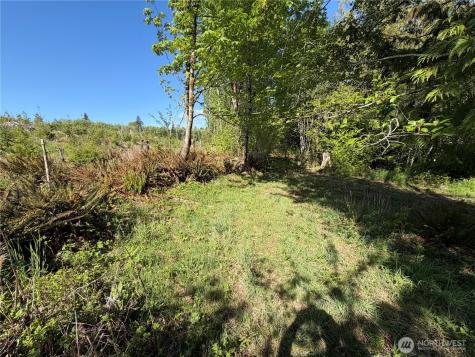 1170 W Gallagher Road Shelton WA 98584