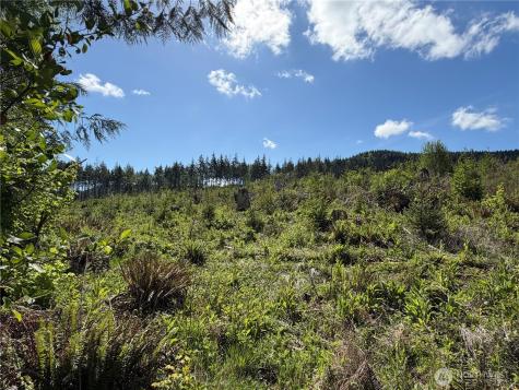 1170 W Gallagher Road Shelton WA 98584