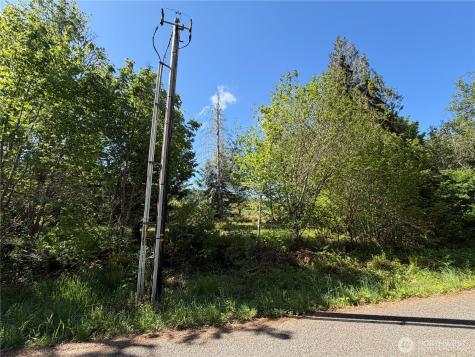 1170 W Gallagher Road Shelton WA 98584