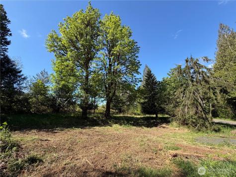 1170 W Gallagher Road Shelton WA 98584