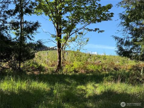 1170 W Gallagher Road Shelton WA 98584