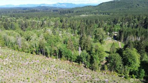 1170 W Gallagher Road Shelton WA 98584
