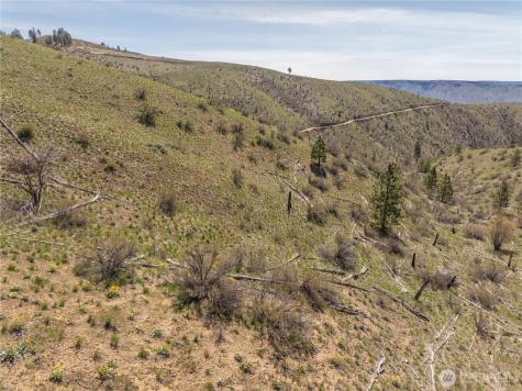 295 Hawks Ridge Road Chelan WA 98816
