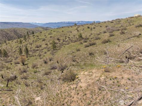 295 Hawks Ridge Road Chelan WA 98816