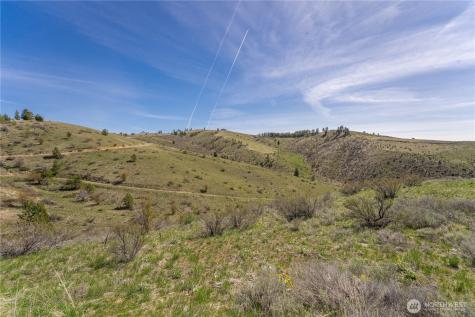 295 Hawks Ridge Road Chelan WA 98816