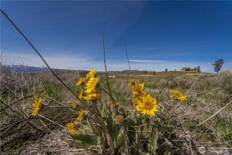 295 Hawks Ridge Road Chelan WA 98816