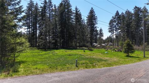 170 W Blackberry Lane Elma WA 98541