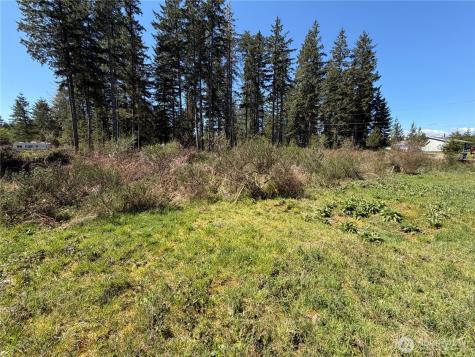 170 W Blackberry Lane Elma WA 98541