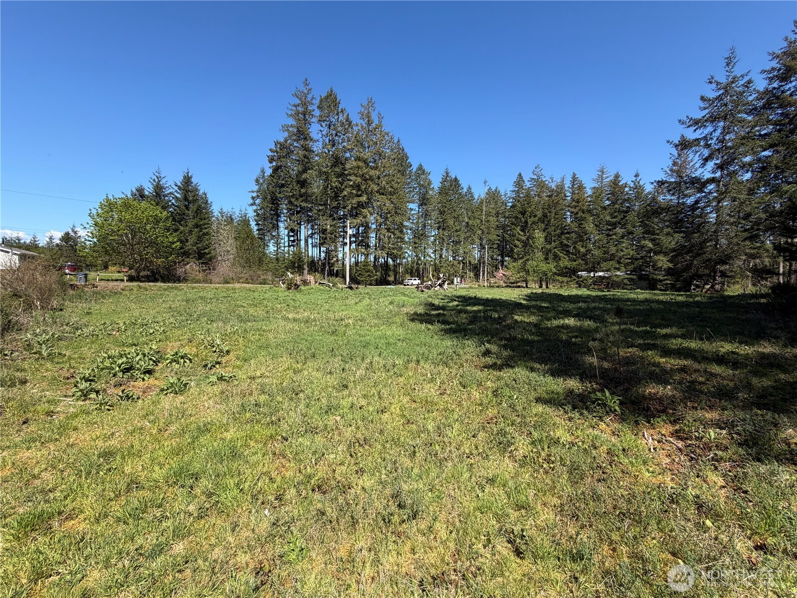 170 W Blackberry Lane Elma WA 98541
