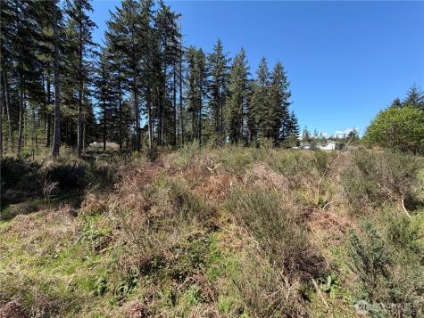 170 W Blackberry Lane Elma WA 98541