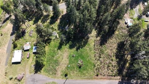 170 W Blackberry Lane Elma WA 98541