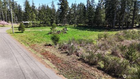 170 W Blackberry Lane Elma WA 98541