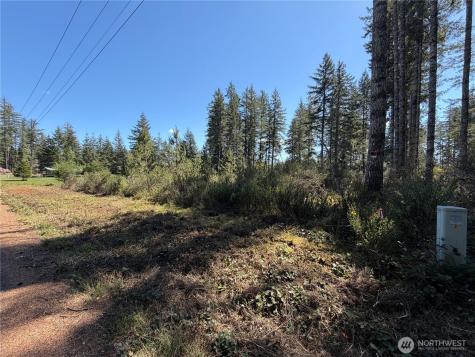 170 W Blackberry Lane Elma WA 98541