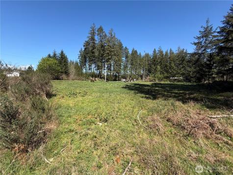 170 W Blackberry Lane Elma WA 98541